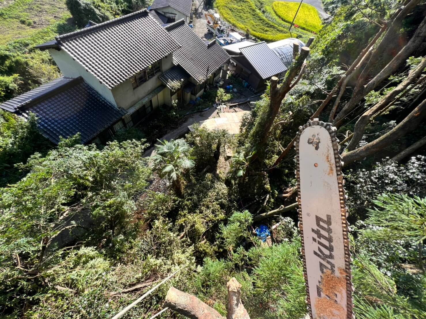 屋根に日が当たり、明るくなってきましたね！